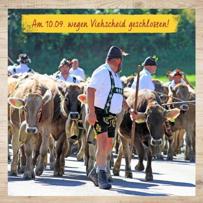 Viehscheid-Betriebsurlaub